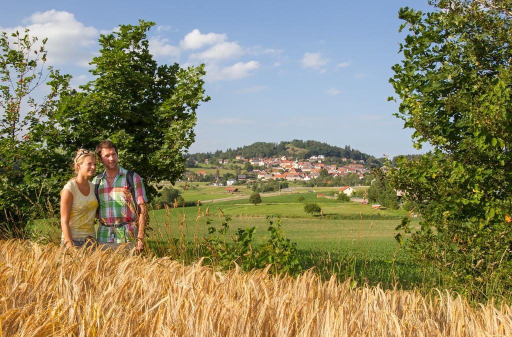 Zum Schwarzen Baeren Hotel Vohenstrauss Bagian luar foto