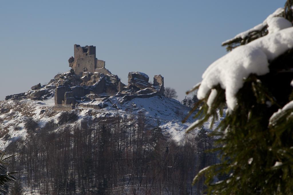 Zum Schwarzen Baeren Hotel Vohenstrauss Bagian luar foto